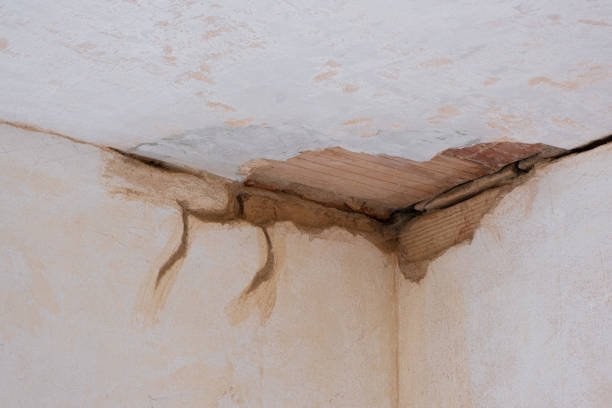 Best Flood restoration services  in Rson, CA