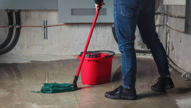 Best Water damage restoration services  in Rson, CA