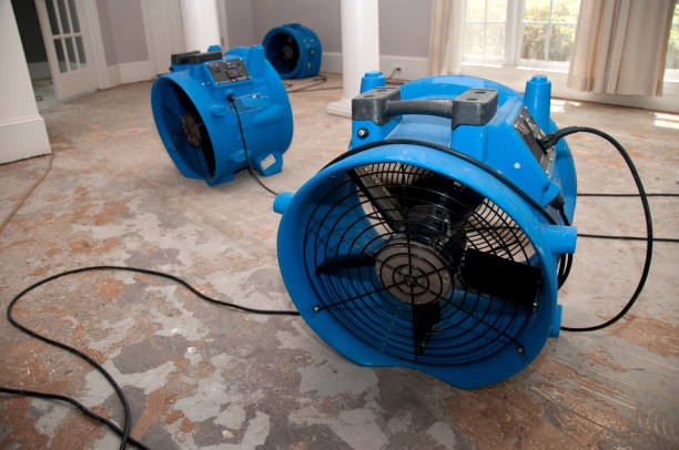Best Water damage mitigation services  in Rson, CA