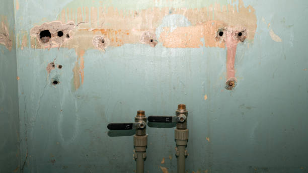 Best Water damage restoration experts  in Rson, CA