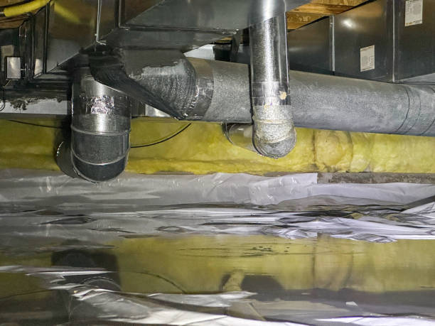 Best Flood damage cleanup  in Rson, CA