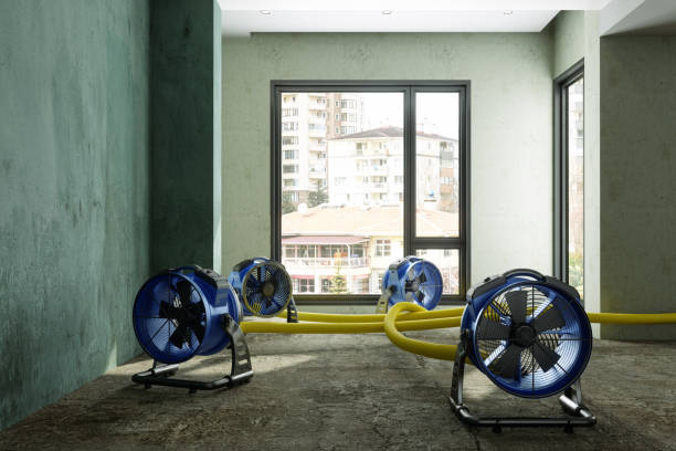 Carson, CA Water damage restoration Company