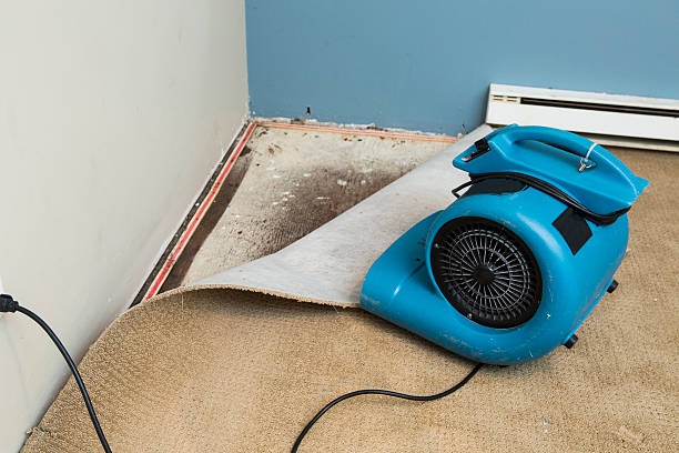 Best Commercial water damage restoration  in Rson, CA
